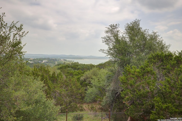 view of landscape featuring a water view and a wooded view