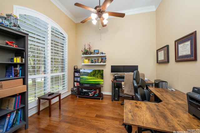 18607 Double Frk, San Antonio, TX 78258 - office featuring crown molding, ceiling fan, plenty of natural light, and wood finished floors