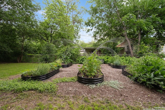 view of yard featuring a vegetable garden