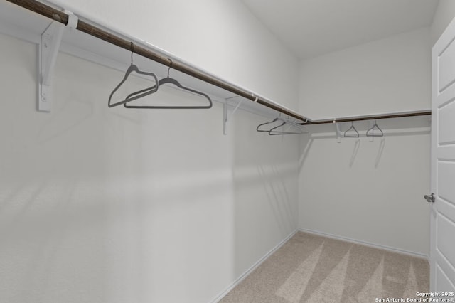 walk in closet with light colored carpet