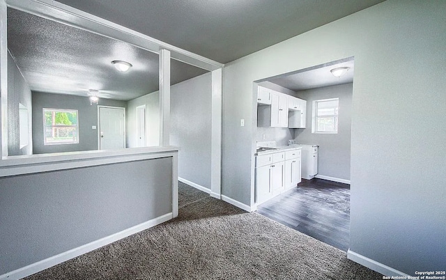 204 Division, San Antonio, TX 78214 - interior space with baseboards, white cabinets, dark colored carpet, and ceiling fan