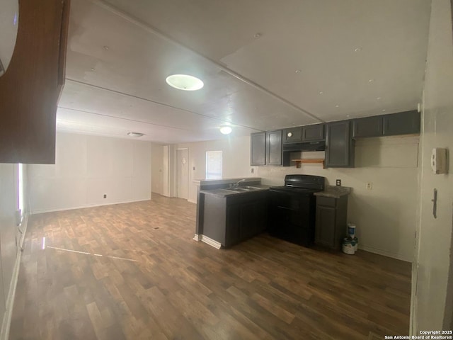 kitchen featuring under cabinet range hood, electric range, dark wood finished floors, and a sink