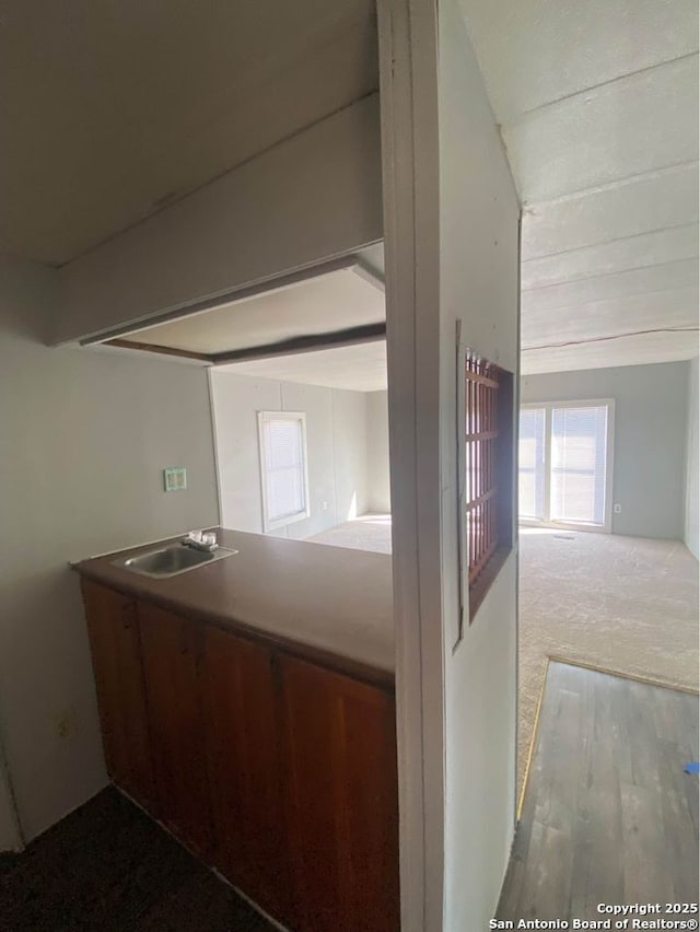 kitchen with a sink, wood finished floors, and carpet flooring