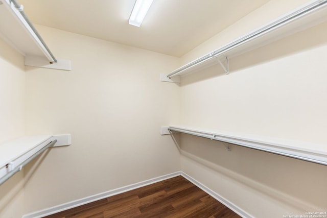 spacious closet featuring dark wood-style floors