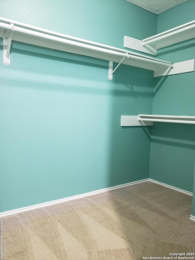 4107 Medical Unit 1204, San Antonio, TX 78229 - walk in closet with carpet flooring