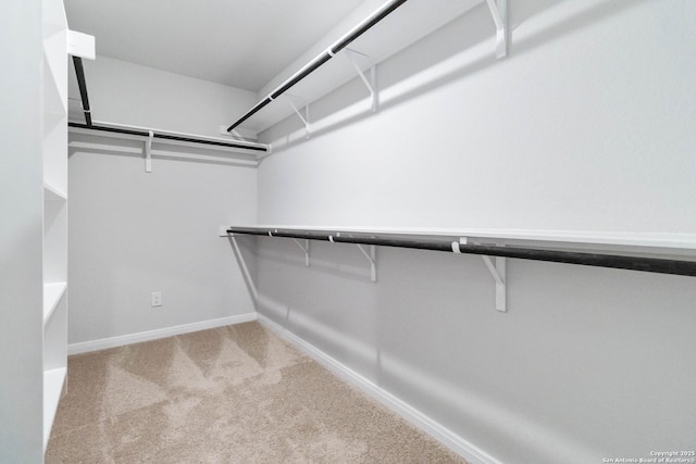 spacious closet featuring carpet flooring