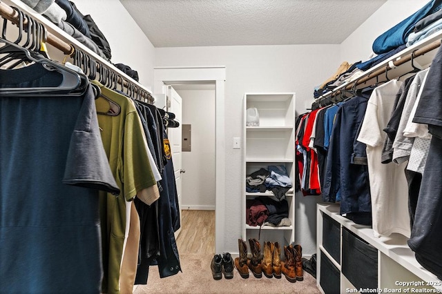 walk in closet with light wood-type flooring and electric panel