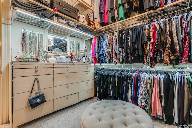 view of spacious closet