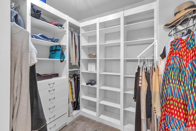 walk in closet featuring carpet