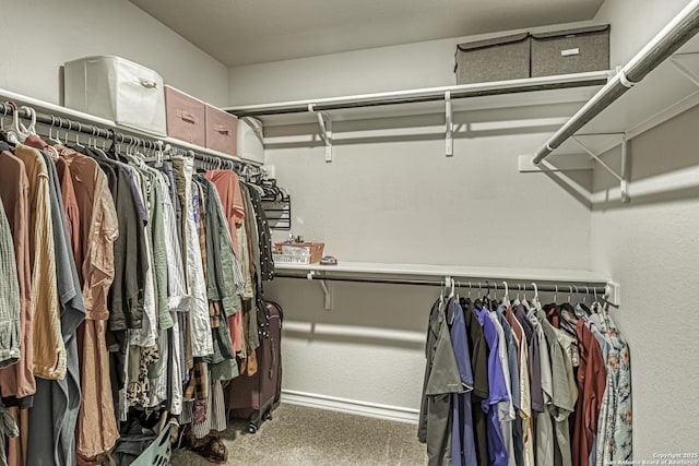 view of walk in closet