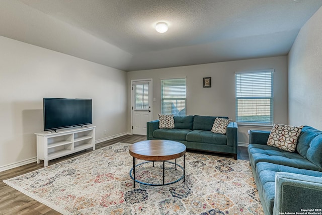 living room featuring baseboards and wood finished floors