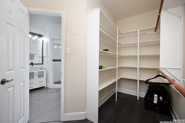 storage area featuring a sink