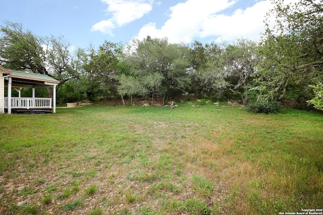 view of yard