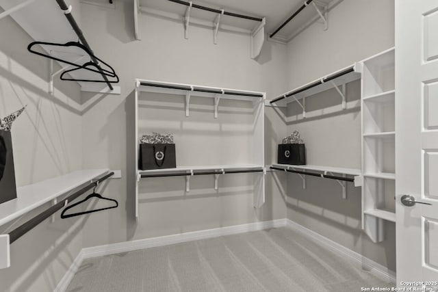 walk in closet featuring carpet