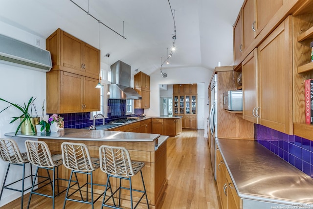 kitchen featuring wall chimney range hood, decorative backsplash, light wood finished floors, a peninsula, and stainless steel appliances