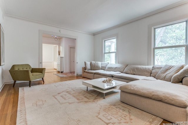 living room with crown molding, baseboards, and light wood-style flooring