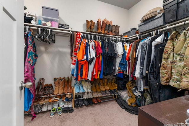 7914 Blackhawk Pass, San Antonio, TX 78253 - spacious closet with carpet