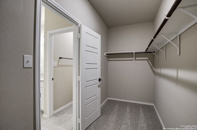 view of walk in closet