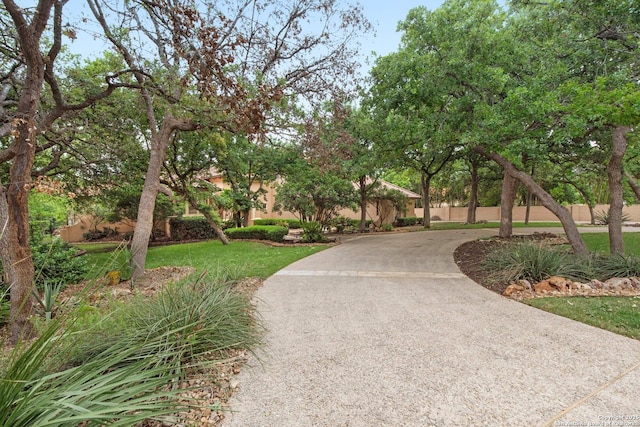 surrounding community featuring fence and a yard