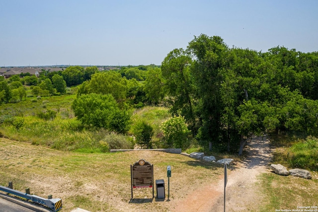 9403 Pioneer Jct, San Antonio, TX 78254 - view of yard