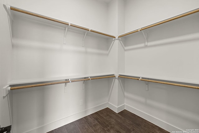 182 Torrey, New Braunfels, TX 78130 - spacious closet with dark wood-type flooring