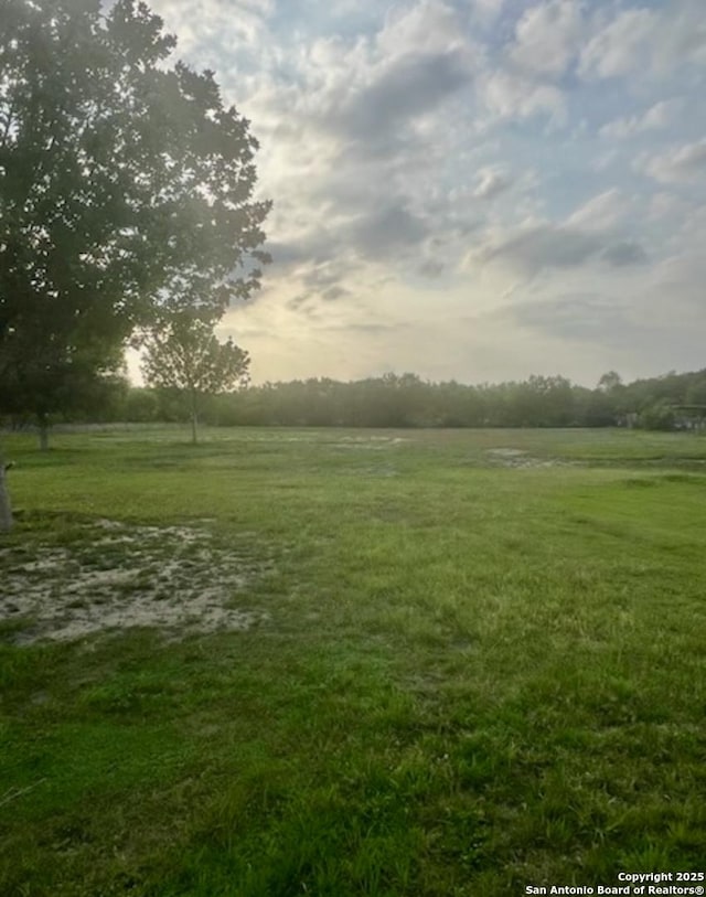 view of yard with a rural view