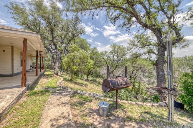 view of yard featuring covered porch
