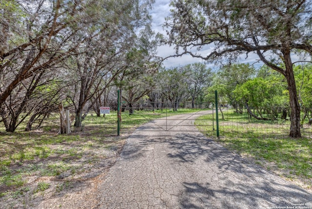 view of street featuring a gate, a gated entry, and driveway