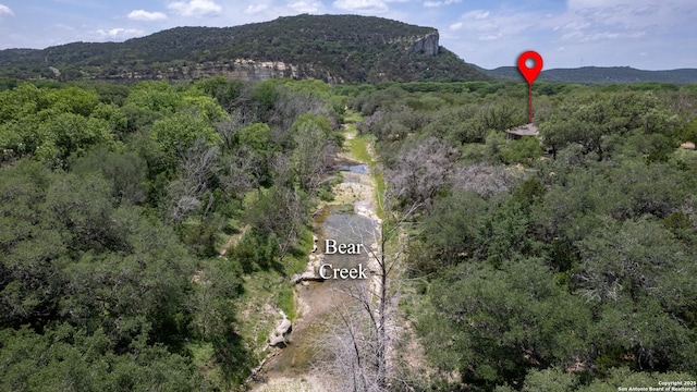 bird's eye view featuring a mountain view and a wooded view