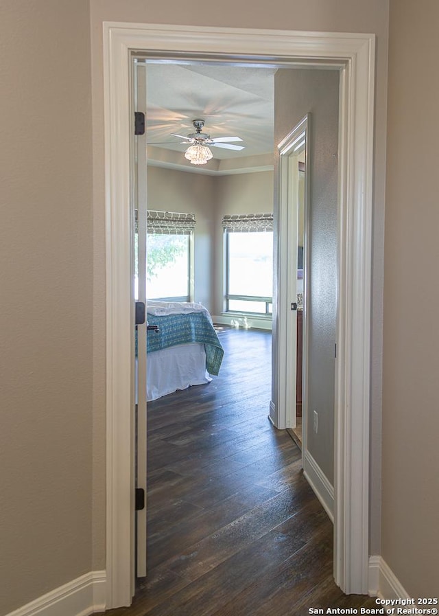 corridor with baseboards and dark wood-style floors