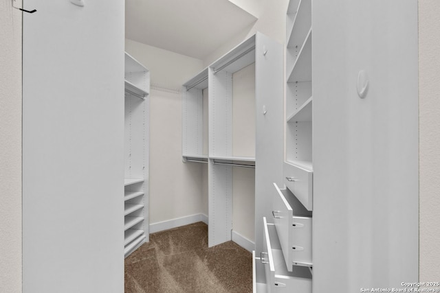 spacious closet with carpet floors