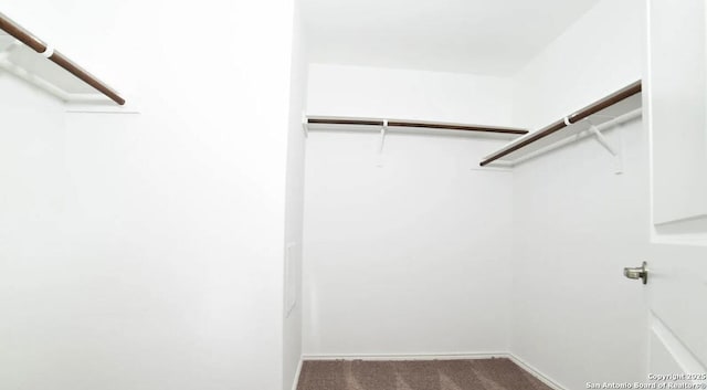 spacious closet with carpet flooring