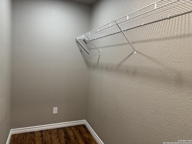 spacious closet featuring dark wood-style floors