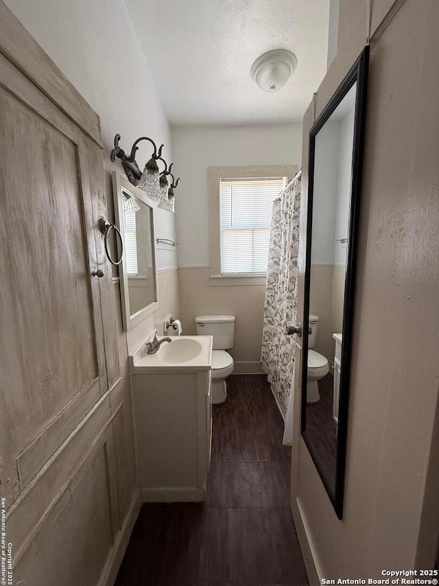 full bath featuring vanity, toilet, wood finished floors, and a shower with shower curtain
