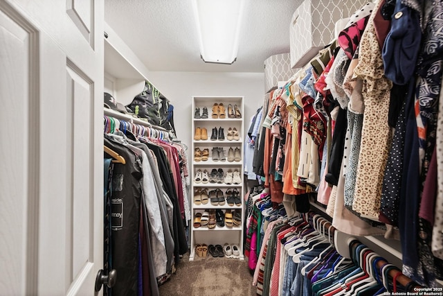 113 E Dawn Dr, Johnson City, TX 78636 - spacious closet featuring carpet flooring