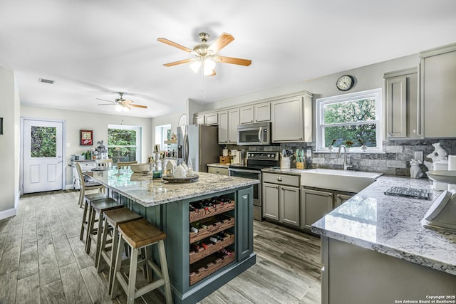 kitchen with a sink, gray cabinets, a wealth of natural light, and stainless steel appliances