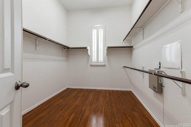 walk in closet with dark wood-style floors