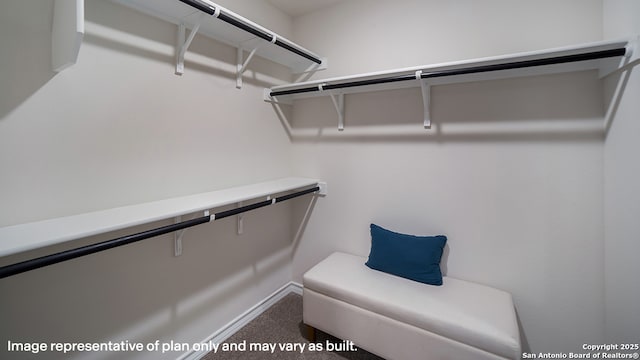 walk in closet with carpet