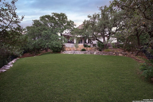 view of yard