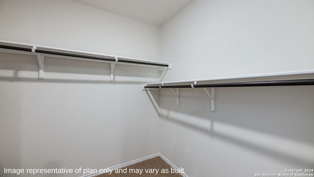walk in closet featuring carpet flooring