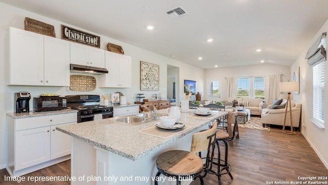 kitchen featuring visible vents, recessed lighting, under cabinet range hood, a sink, and black gas range oven