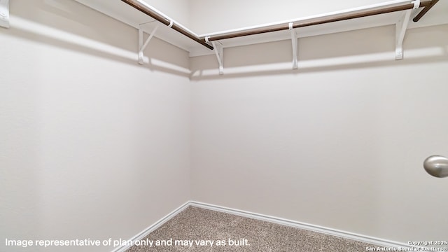 spacious closet featuring carpet floors