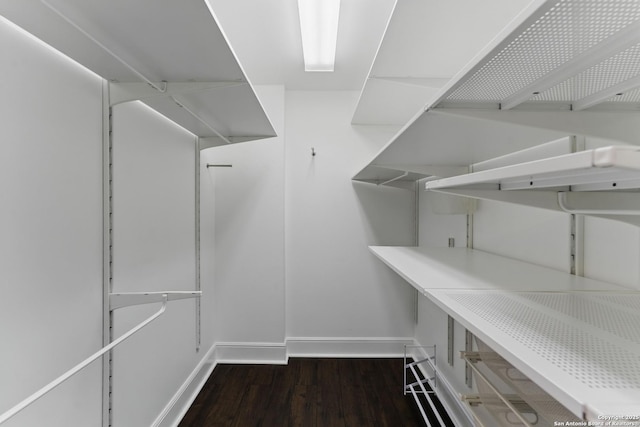 spacious closet featuring wood finished floors