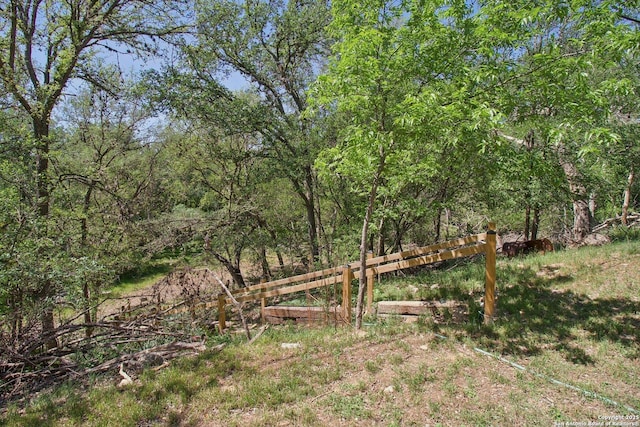 view of yard featuring a forest view