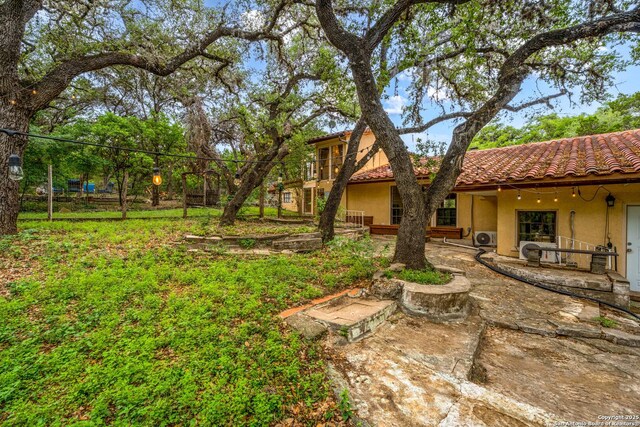 view of yard featuring a patio area