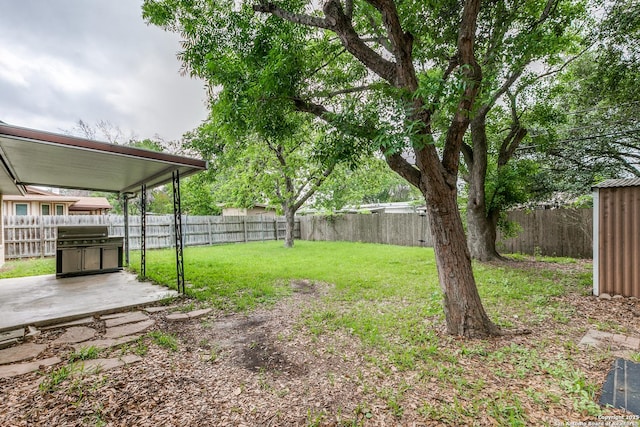 view of yard featuring a patio and a fenced backyard