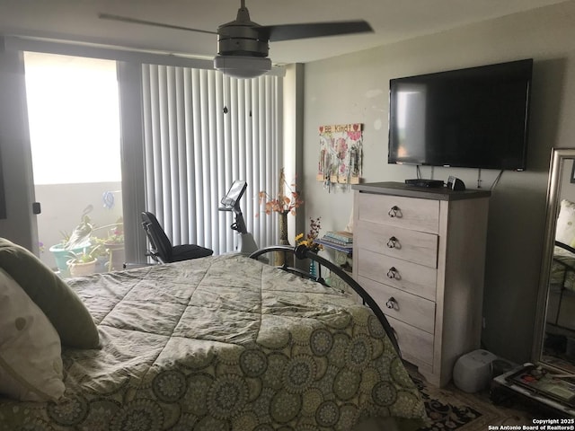 7039 San Pedro Unit 810, San Antonio, TX 78216 - bedroom featuring ceiling fan
