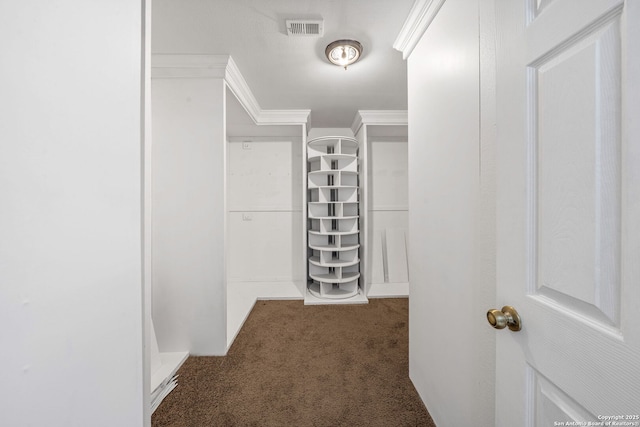 spacious closet with carpet floors and visible vents