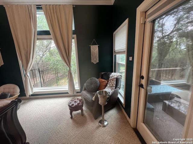 27030 Vaughns Vw, San Antonio, TX 78260 - sitting room with carpet floors and plenty of natural light
