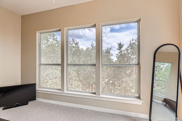 27030 Vaughns Vw, San Antonio, TX 78260 - interior details featuring baseboards and carpet